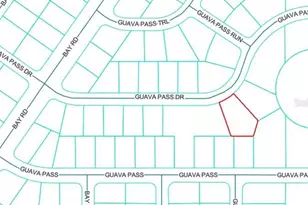 Lot 26 Guava Pass Dr, Ocklawaha, FL 32179 - Photo 1