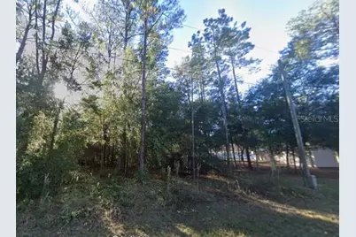 Lot 26 Guava Pass Drive, Ocklawaha, FL 32179 - Photo 8