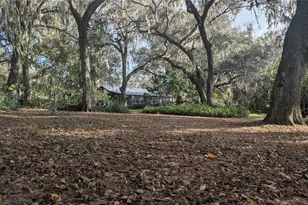 9350 SE 170th Avenue Rd, Ocklawaha, FL 32179 - Photo 60