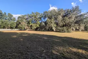 9350 SE 170th Avenue Rd, Ocklawaha, FL 32179 - Photo 38