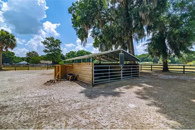 13300 NE 38th Avenue, Anthony, FL 32617 - Photo 12