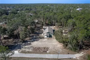 6425 Cartwrite Rd, Spring Hill, FL 34609 - Photo 72