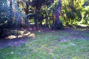 2518 NE 14th Ave, Ocala, FL 34470 - Photo 12