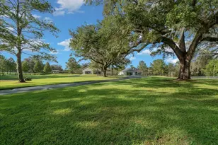 10005 NW 28th Pl, Ocala, FL 34482 - Photo 8