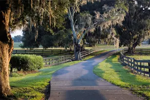 12750 W Highway 40, Ocala, FL 34481 - Photo 4