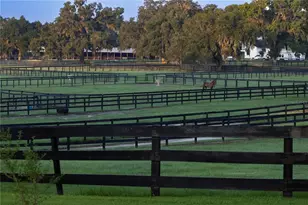 12750 W Highway 40, Ocala, FL 34481 - Photo 8