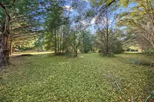 14612 NW 188 St, Alachua, FL 32615 - Photo 34