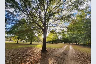 14612 NW 188th Street, Alachua, FL 32615 - Photo 6