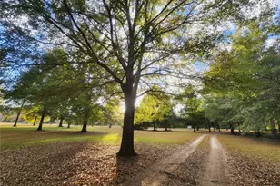 14612 NW 188 St, Alachua, FL 32615 - Photo 6