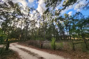 14612 NW 188 St, Alachua, FL 32615 - Photo 40