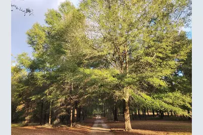 14612 NW 188th Street, Alachua, FL 32615 - Photo 38