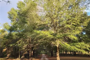 14612 NW 188 St, Alachua, FL 32615 - Photo 38