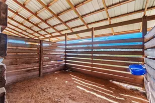 5100 W Hwy 329, Reddick, FL 32686 - Photo 32