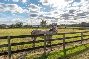 5100 W Hwy 329, Reddick, FL 32686 - Photo 48