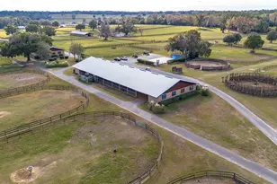 5100 W Hwy 329, Reddick, FL 32686 - Photo 20