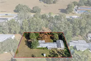 1805 N Paul Dr, Inverness, FL 34453 - Photo 20