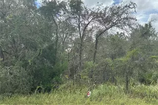 11434 Poorwill Ave, Brooksville, FL 34614 - Photo 1