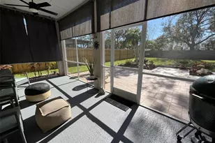 28702 Crooked Stick Ct, Wesley Chapel, FL 33543 - Photo 30