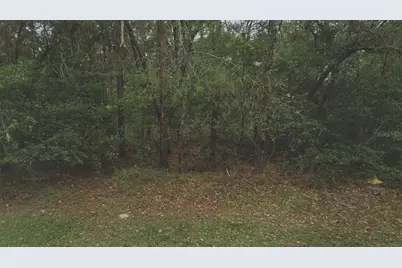 105 Rhode Island Avenue, Satsuma, FL 32189 - Photo 1