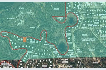 254 Brussels Avenue, Interlachen, FL 32148 - Photo 2