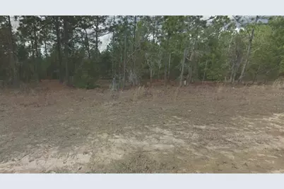 254 Brussels Avenue, Interlachen, FL 32148 - Photo 1