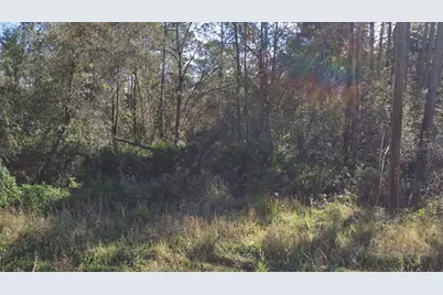 104 Donald R Boulevard, Palatka, FL 32177 - Photo 1