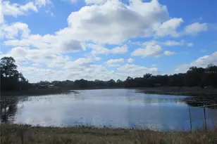 5888 SE 164 Ave, Ocklawaha, FL 32179 - Photo 56