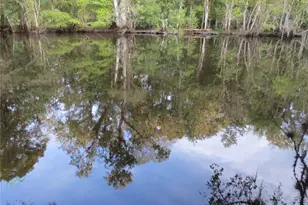 5888 SE 164 Ave, Ocklawaha, FL 32179 - Photo 76