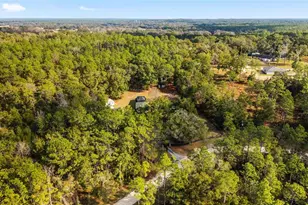 12861 SW 45th Lane Rd, Ocala, FL 34481 - Photo 60