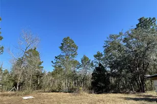 4299 SW 190th Ct, Dunnellon, FL 34432 - Photo 24