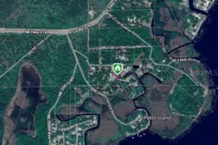 14551 NE 210th Ct Rd, Fort Mc Coy, FL 32134 - Photo 6