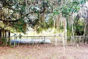 14551 NE 210th Ct Rd, Fort Mc Coy, FL 32134 - Photo 10