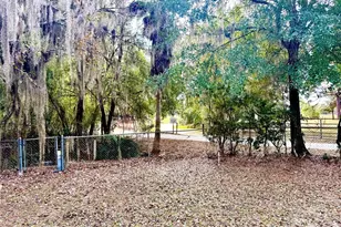 14551 NE 210th Ct Rd, Fort Mc Coy, FL 32134 - Photo 8