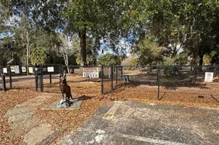 11456 SW 67th Ct, Ocala, FL 34476 - Photo 66