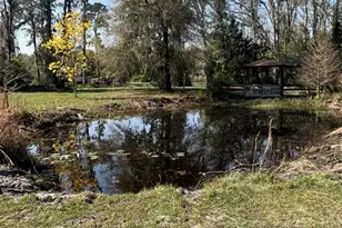 27910 Debbie Rd, Okahumpka, FL 34762 - Photo 84