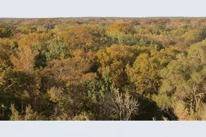 6781 SE 173rd Court, Ocklawaha, FL 32179 - Photo 30