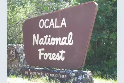 6781 SE 173rd Court, Ocklawaha, FL 32179 - Photo 58