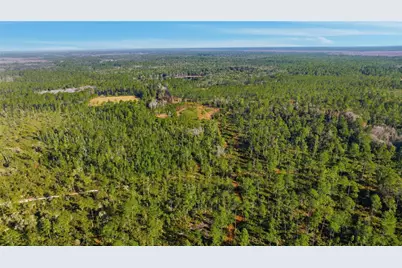 Tbd (Lot 5) NE 115th Lane Road, Fort Mc Coy, FL 32134 - Photo 8