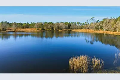 Tbd (Lot 5) NE 115th Lane Road, Fort Mc Coy, FL 32134 - Photo 6