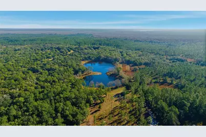 Tbd (Lot 5) NE 115th Lane Road, Fort Mc Coy, FL 32134 - Photo 2