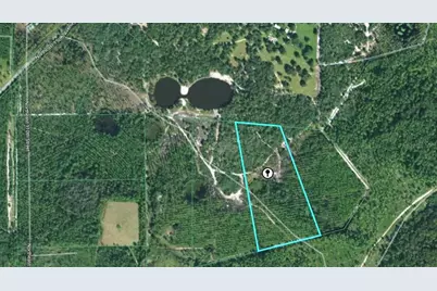 Tbd (Lot 5) NE 115th Lane Road, Fort Mc Coy, FL 32134 - Photo 1