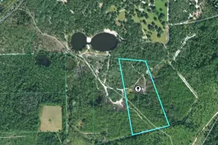 Tbd (Lot 5) NE 115th Ln Rd, Fort Mc Coy, FL 32134 - Photo 1