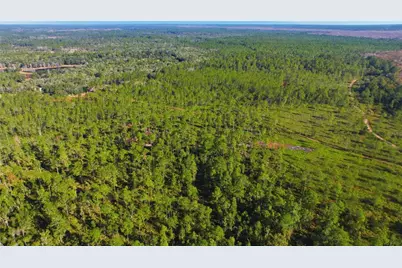 Tbd (Lot 5) NE 115th Lane Road, Fort Mc Coy, FL 32134 - Photo 4