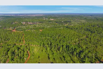 Tbd (Lot 6) NE 115th Lane Road, Fort Mc Coy, FL 32134 - Photo 8