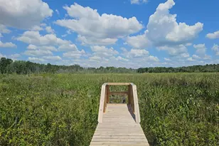 10895 SE Timucuan Rd, Summerfield, FL 34491 - Photo 20