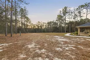 12028 S Pine Oak Terrace, Floral City, FL 34436 - Photo 36