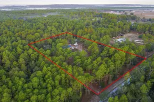 12028 S Pine Oak Terrace, Floral City, FL 34436 - Photo 44