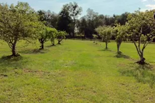 6935 NW Hwy 225A, Ocala, FL 34482 - Photo 62