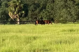 20462 SW 36th St, Dunnellon, FL 34431 - Photo 36