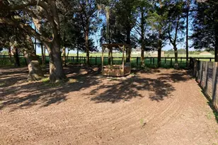 20462 SW 36th St, Dunnellon, FL 34431 - Photo 42